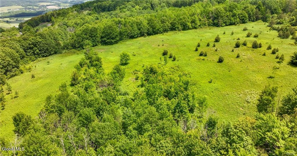 L16 Bush Street Cobleskill NY 12043