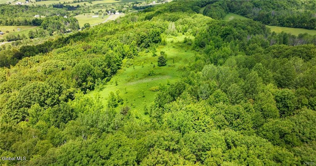 L16 Bush Street Cobleskill NY 12043
