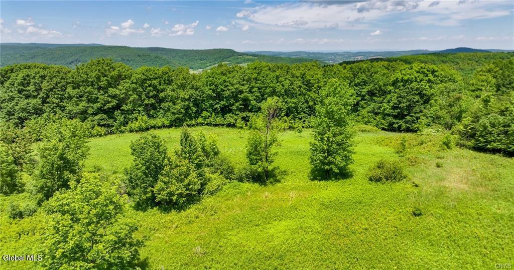 L16 Bush Street Cobleskill NY 12043