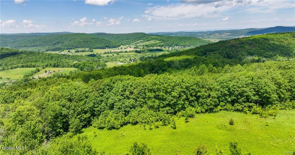 L16 Bush Street Cobleskill NY 12043