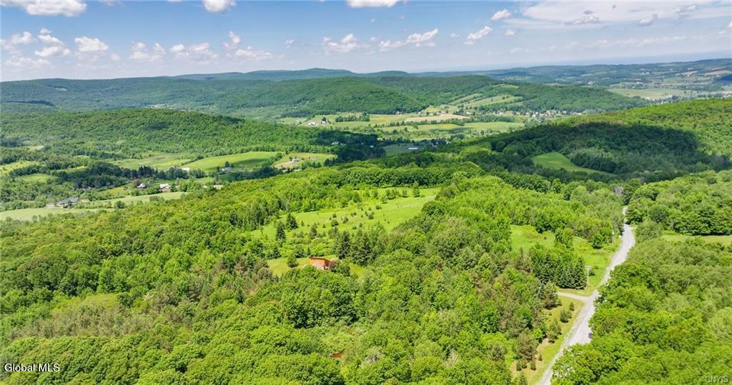 L16 Bush Street Cobleskill NY 12043