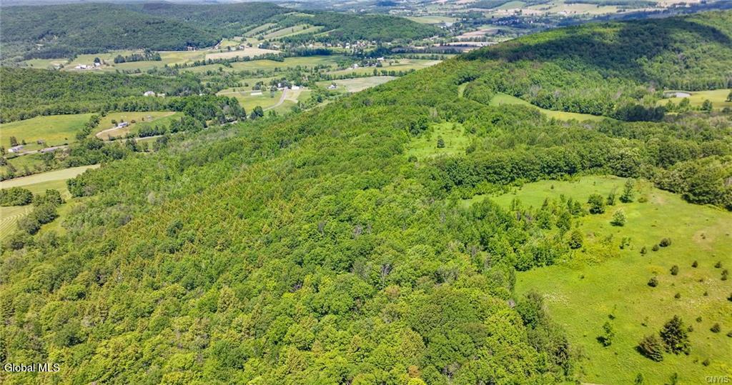 L16 Bush Street Cobleskill NY 12043