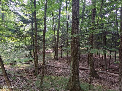 L 15.1 Ny-28 Warrensburg NY 12885