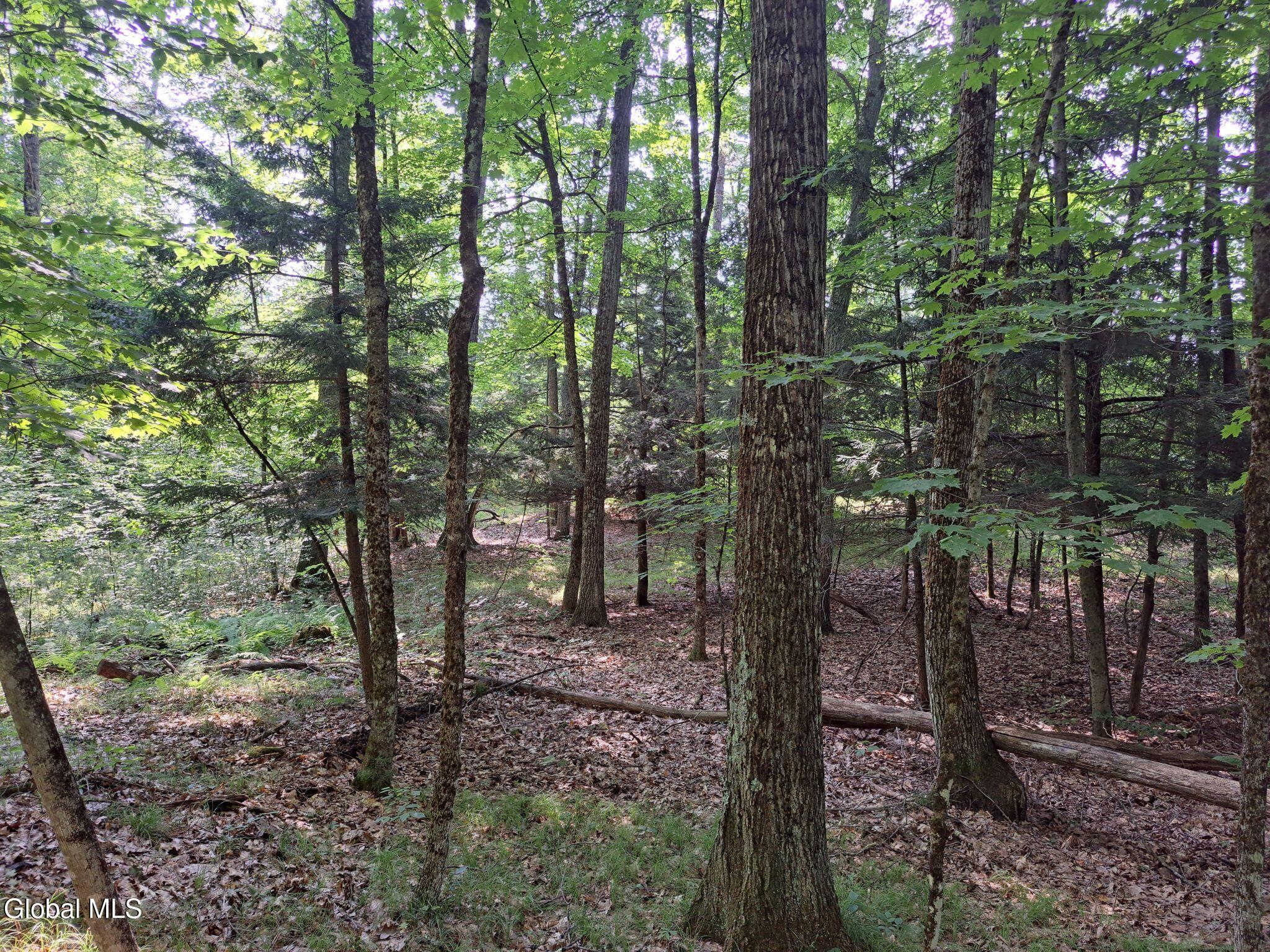 L 15.1 Ny-28 Warrensburg NY 12885