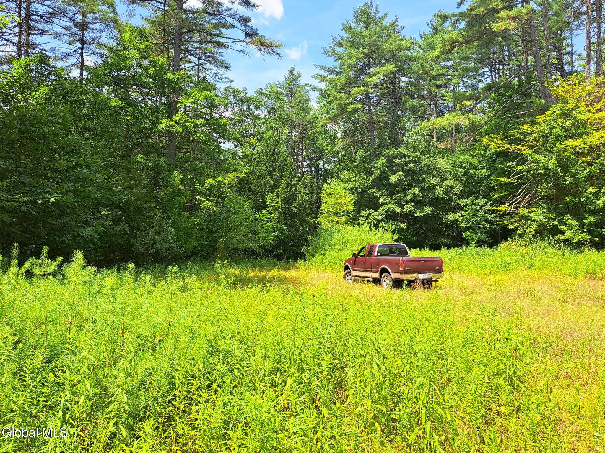 L 15.1 Ny-28 Warrensburg NY 12885