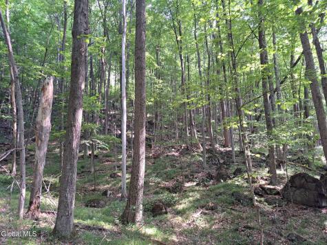 L 15.1 Ny-28 Warrensburg NY 12885