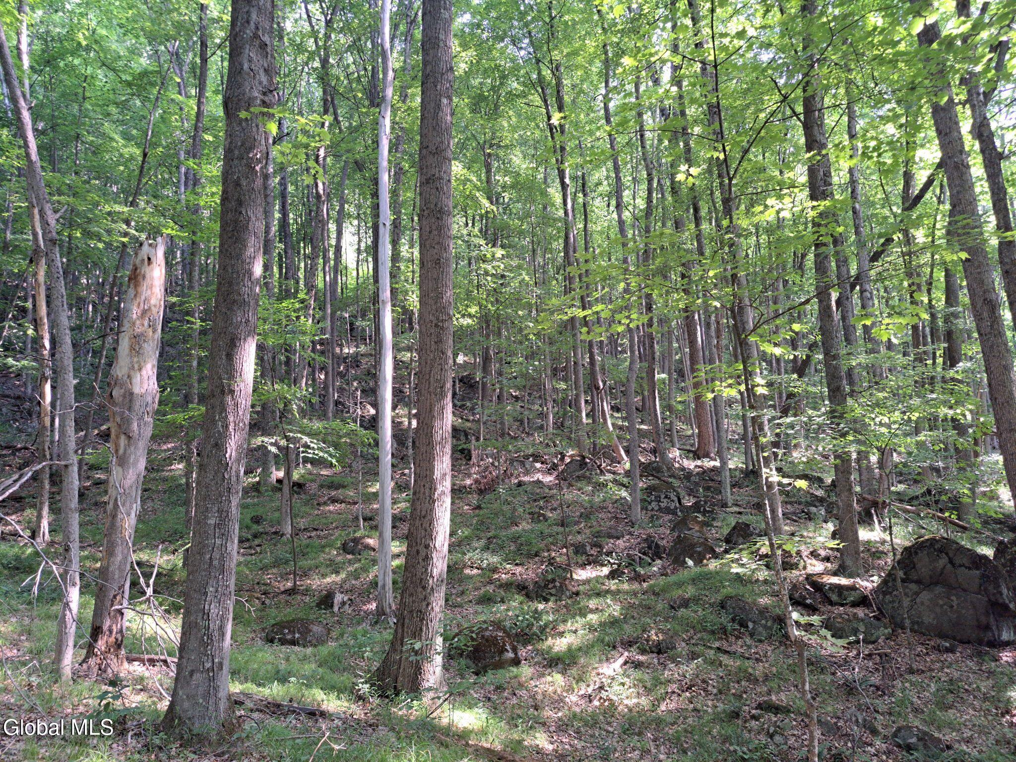 L 15.1 Ny-28 Warrensburg NY 12885
