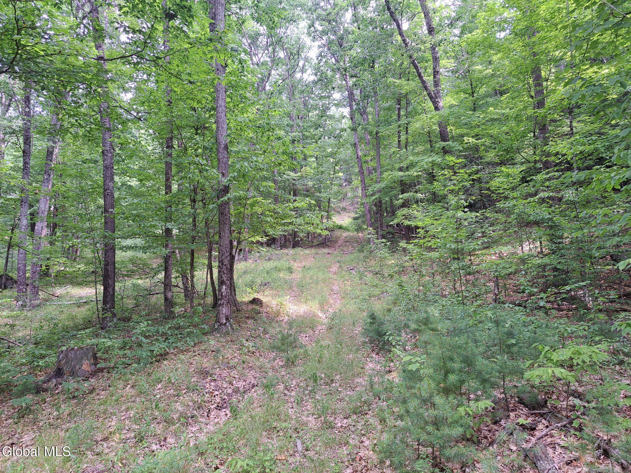L 15.1 Ny-28 Warrensburg NY 12885