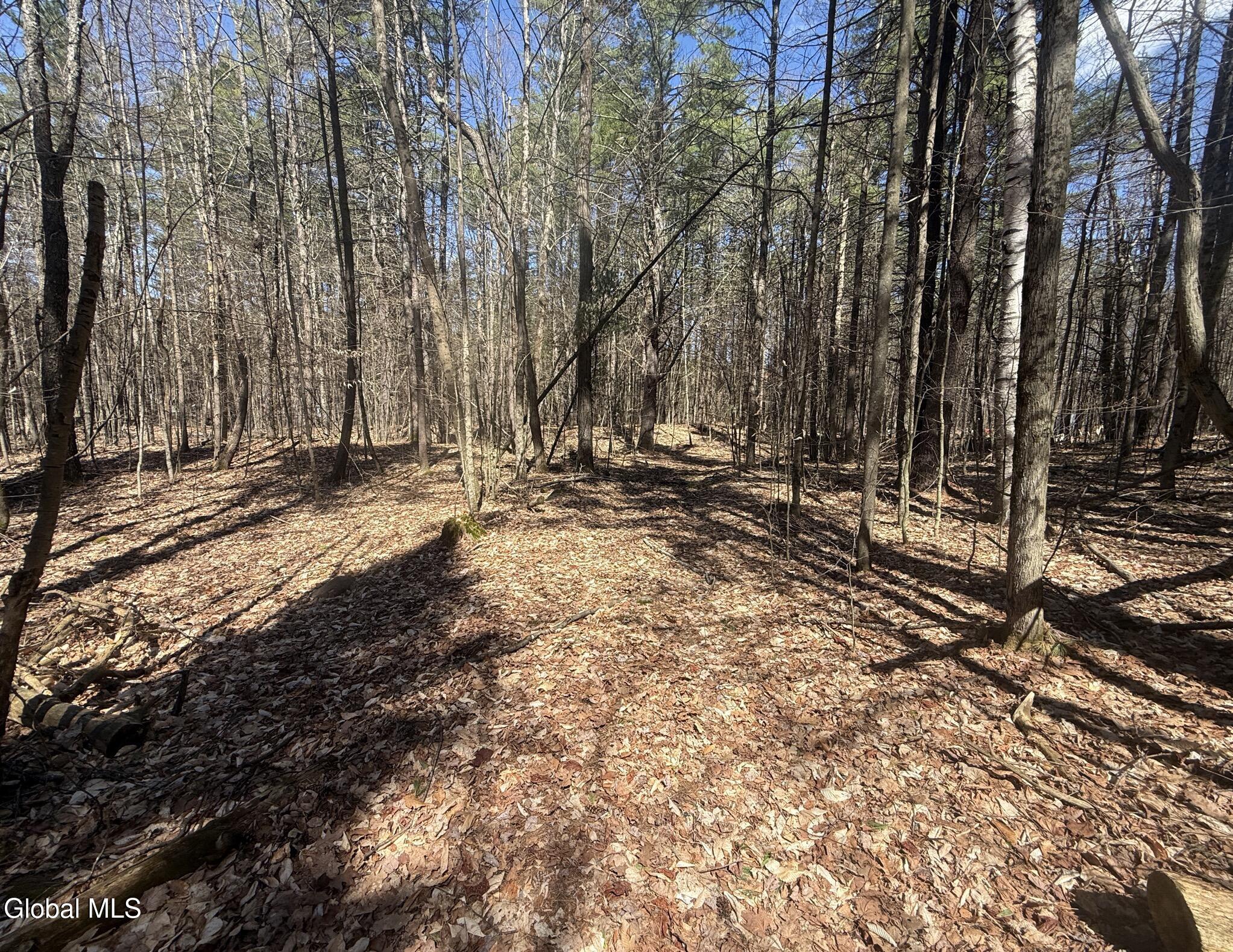 549 Alden Avenue Warrensburg NY 12885