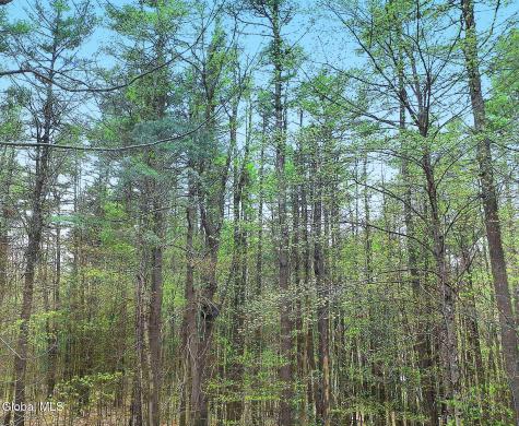 549 Alden Avenue Warrensburg NY 12885