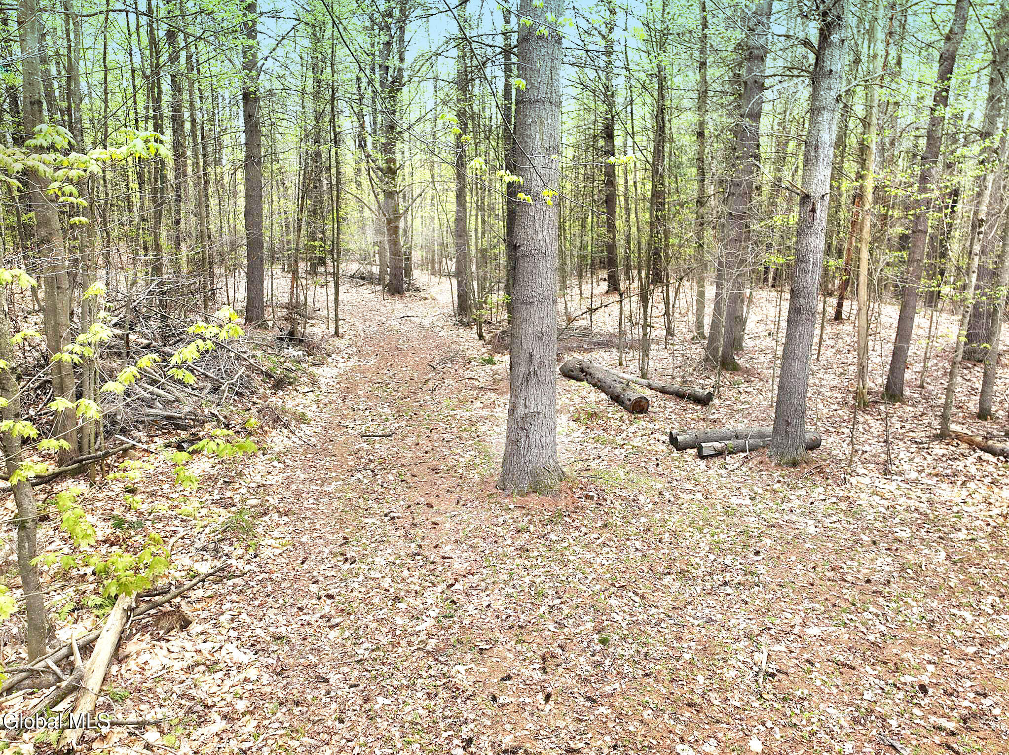 549 Alden Avenue Warrensburg NY 12885