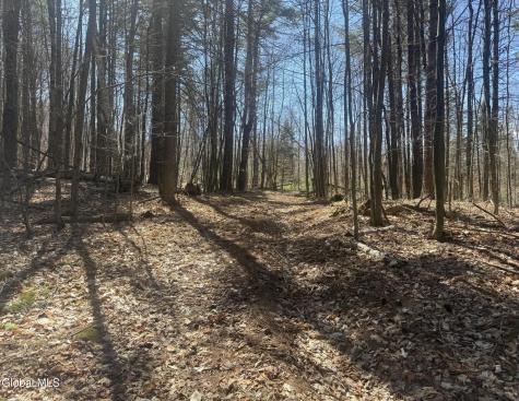 549 Alden Avenue Warrensburg NY 12885