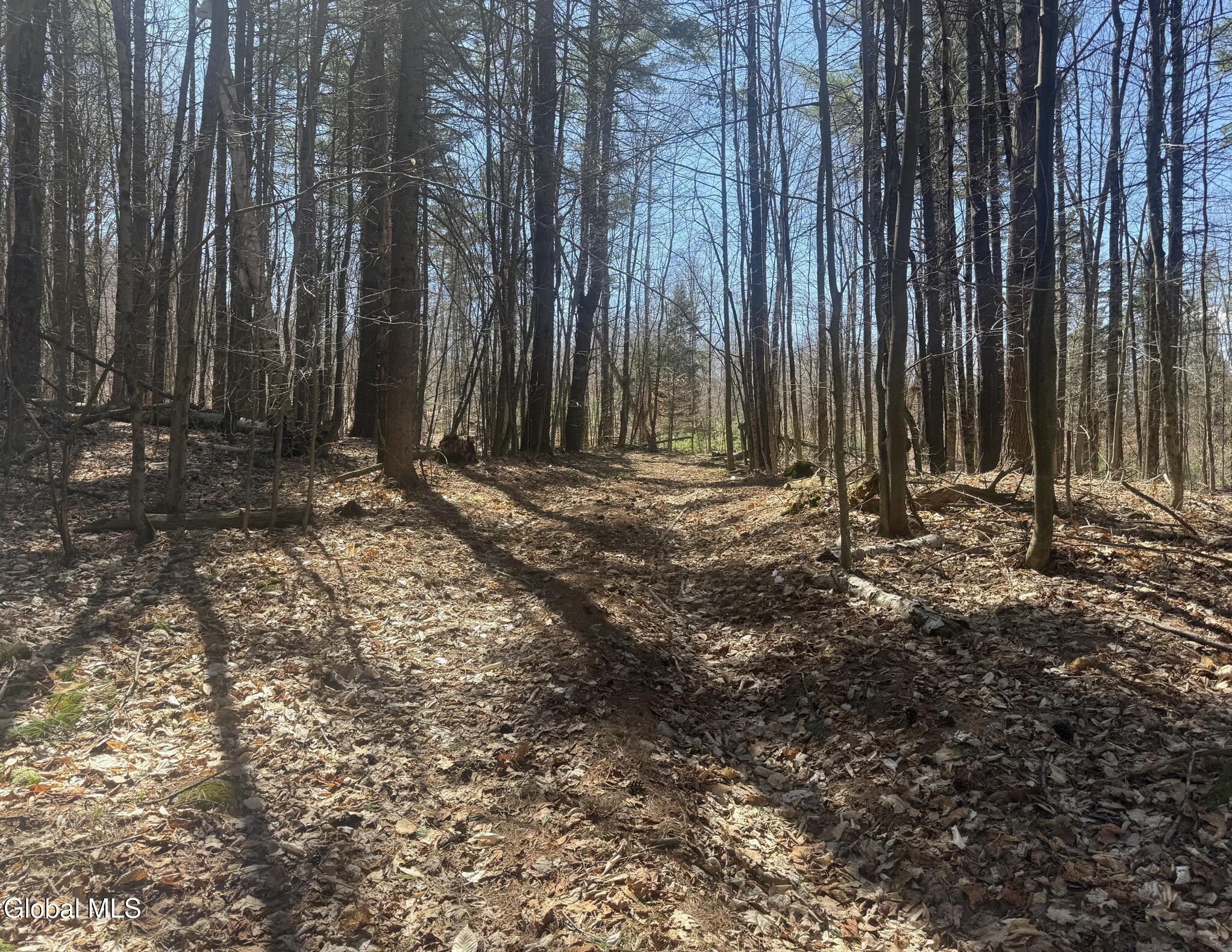 549 Alden Avenue Warrensburg NY 12885