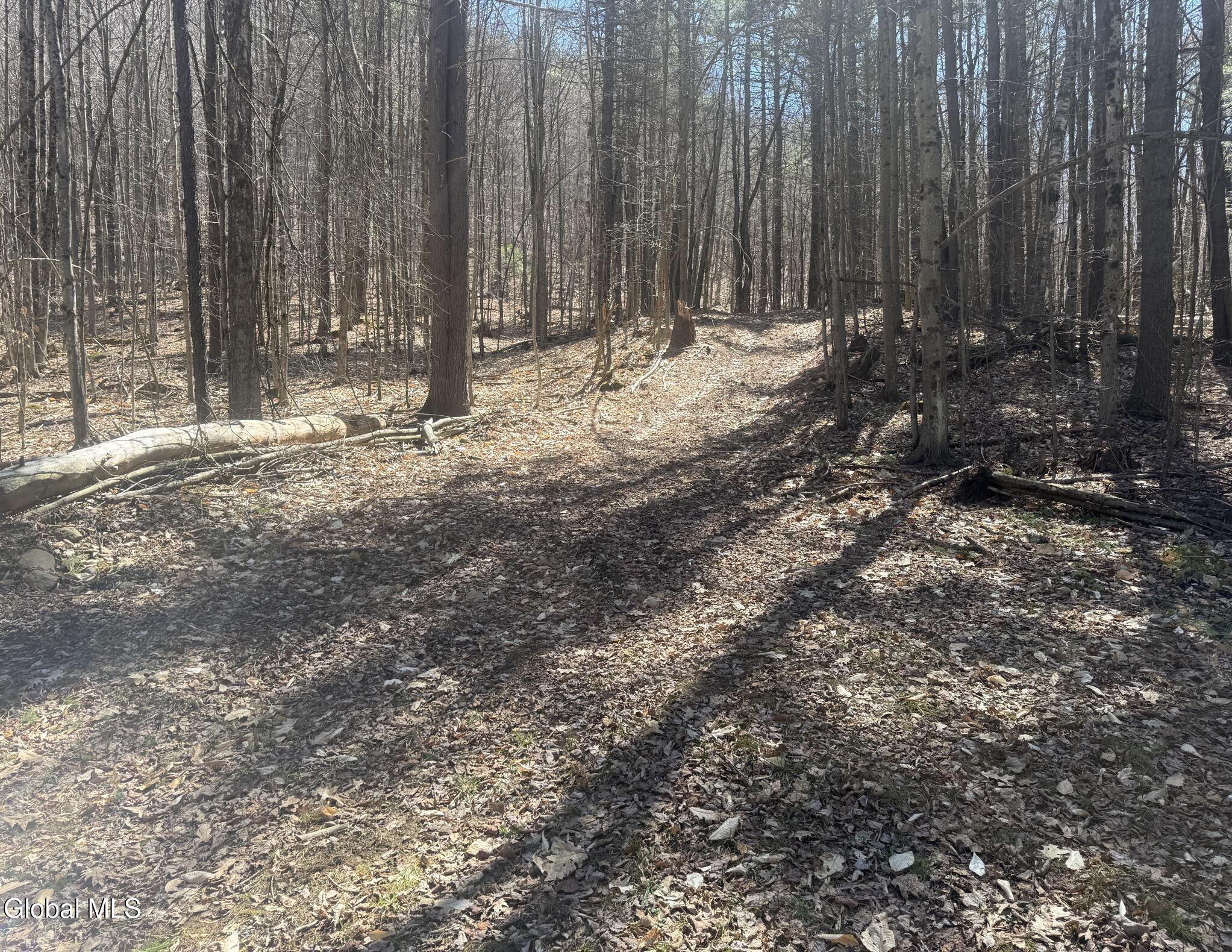549 Alden Avenue Warrensburg NY 12885