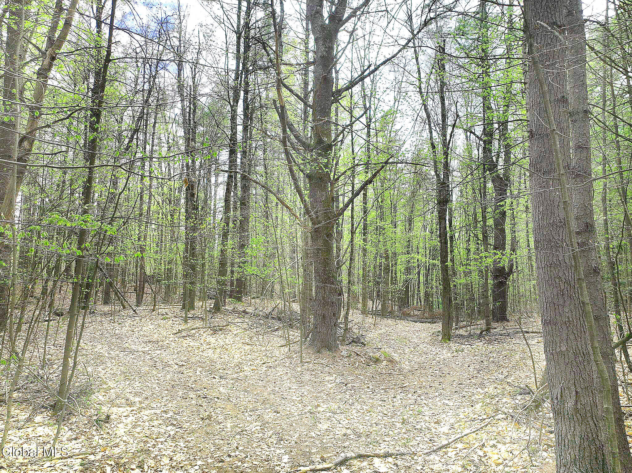 549 Alden Avenue Warrensburg NY 12885