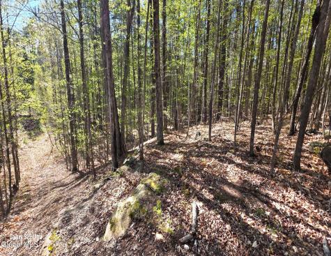 549 Alden Avenue Warrensburg NY 12885