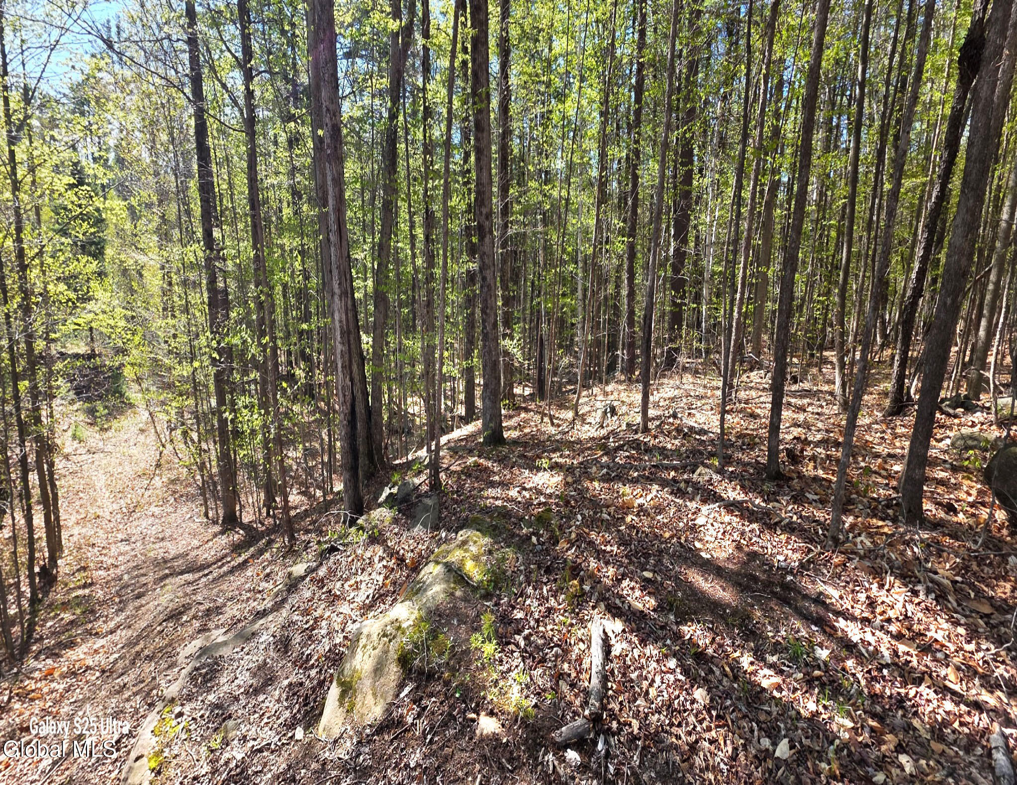 549 Alden Avenue Warrensburg NY 12885