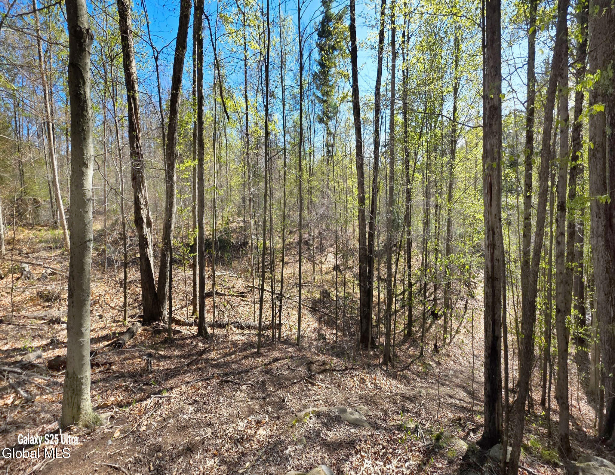 549 Alden Avenue Warrensburg NY 12885