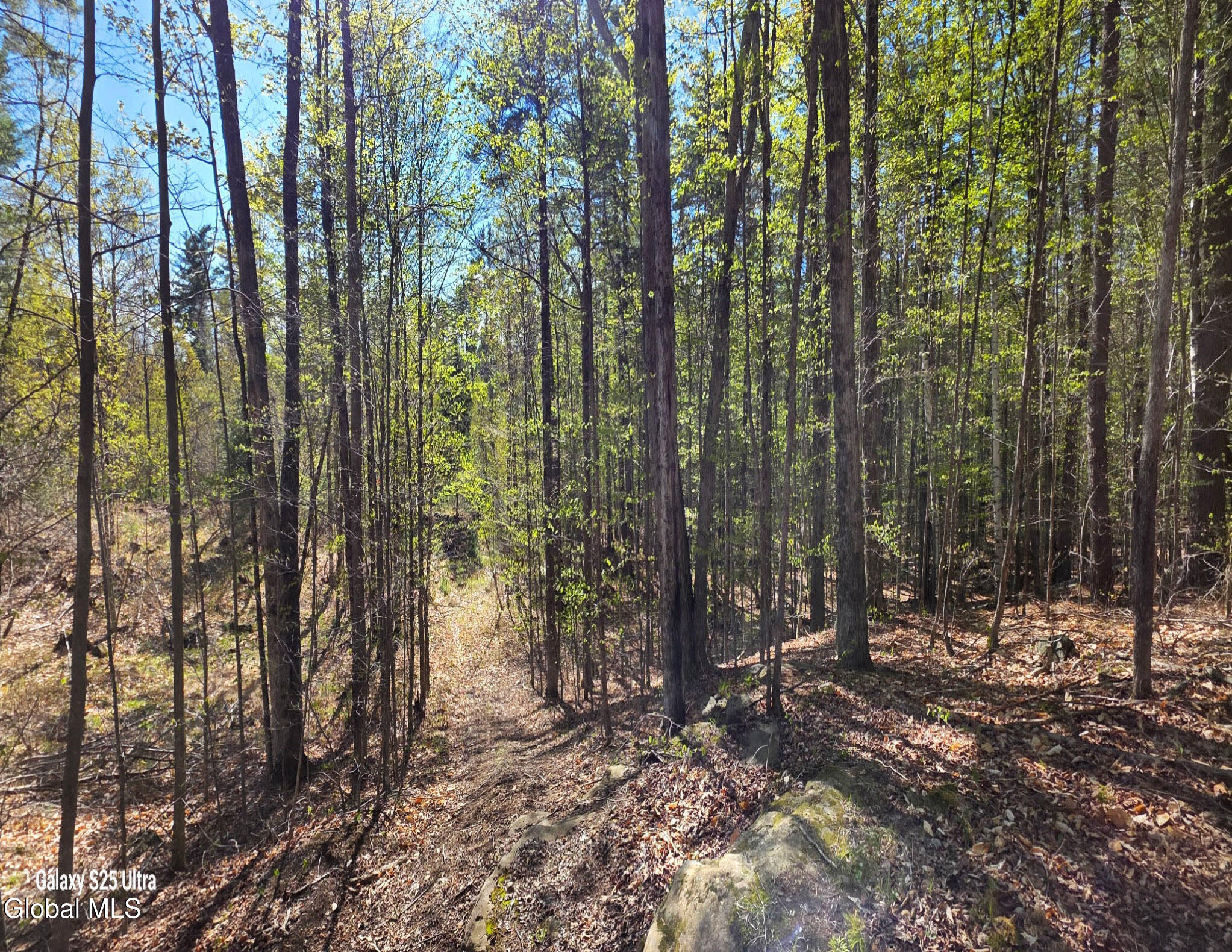 549 Alden Avenue Warrensburg NY 12885