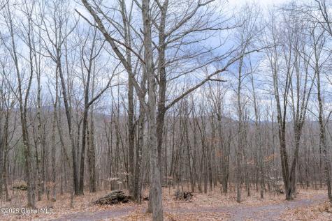52 Oak Hill Road Salem NY 12832