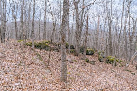 52 Oak Hill Road Salem NY 12832