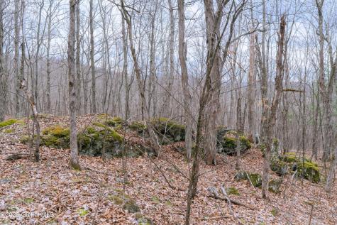 52 Oak Hill Road Salem NY 12832