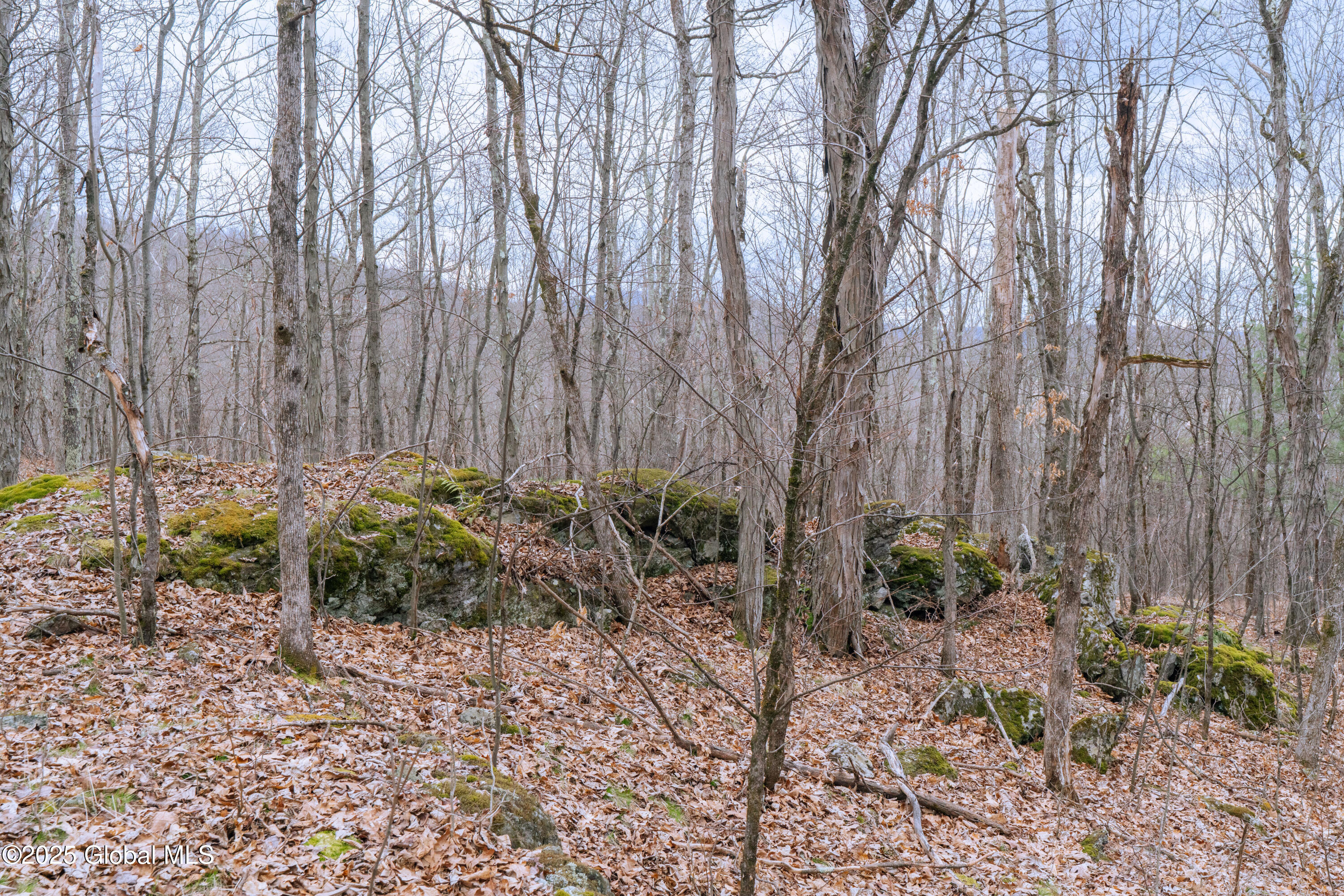 52 Oak Hill Road Salem NY 12832