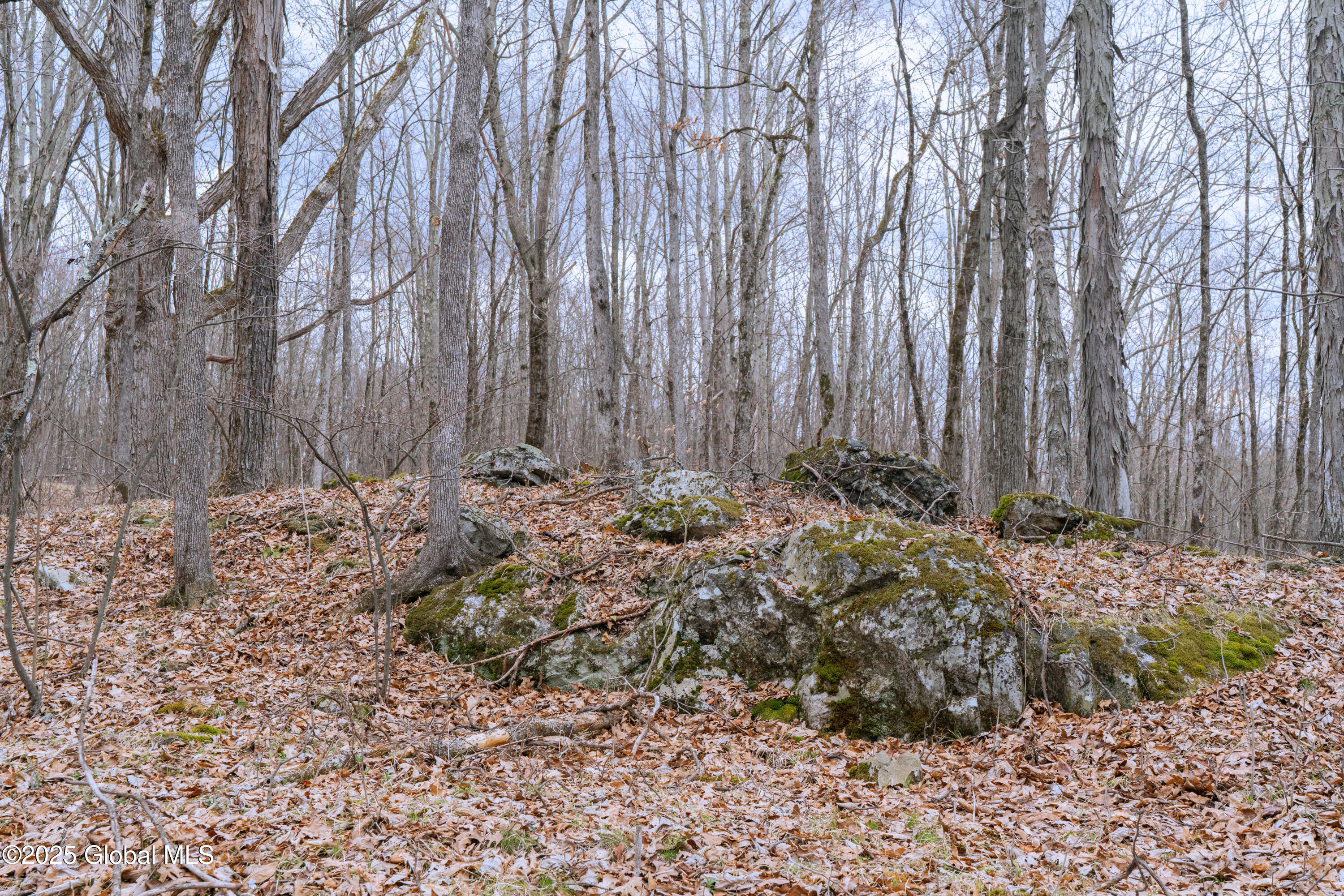 52 Oak Hill Road Salem NY 12832