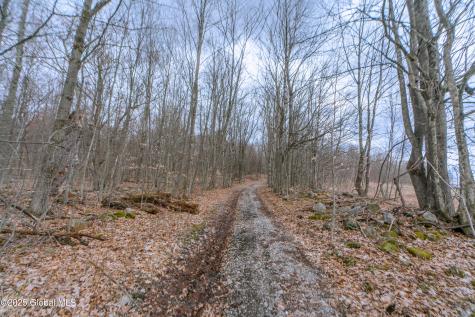 52 Oak Hill Road Salem NY 12832