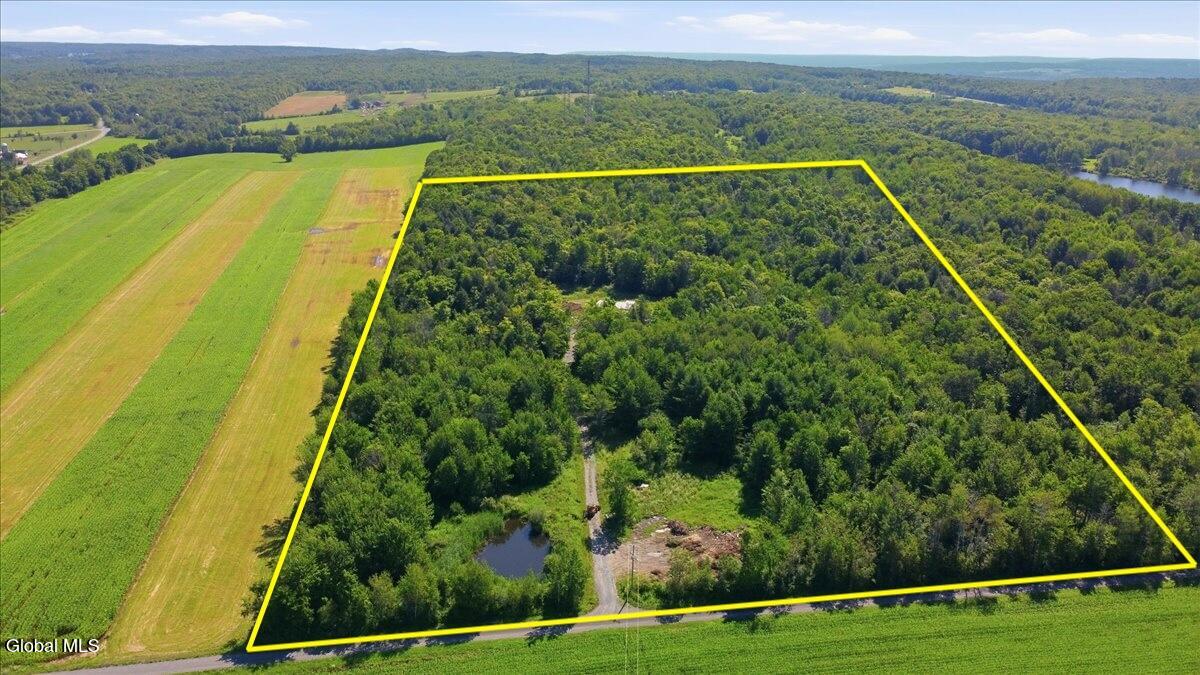 585 N Knight Road Delanson NY 12053