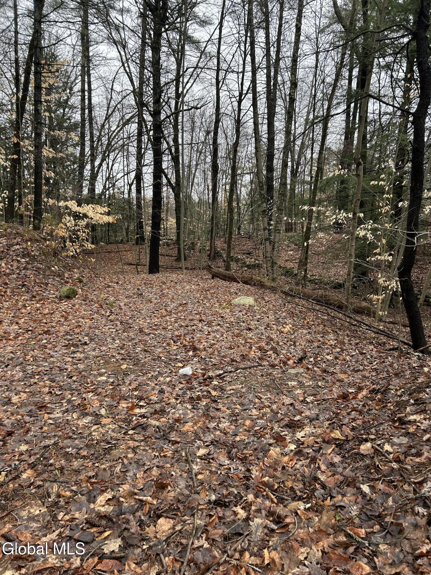 27 S Copeland Pond Way Fort Ann NY 12827