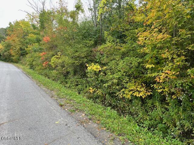 L24.2 Goewey Road Fultonville NY 12072