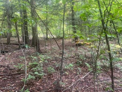 L24.2 Goewey Road Fultonville NY 12072