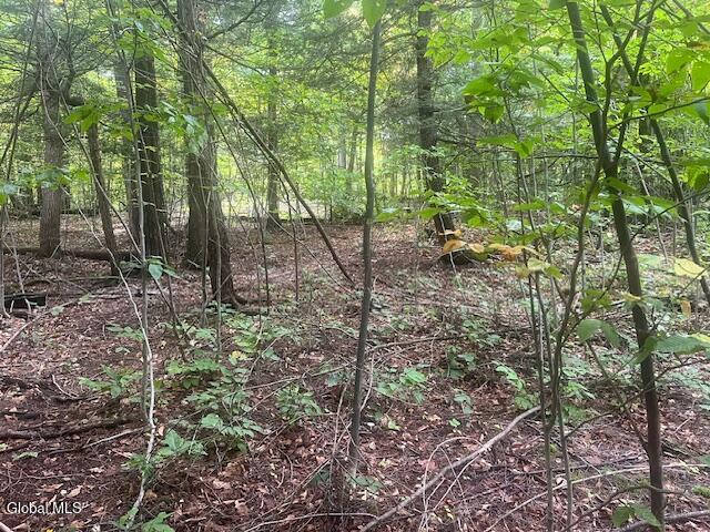 L24.2 Goewey Road Fultonville NY 12072