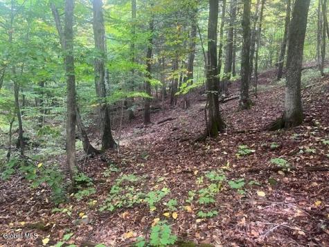 L24.2 Goewey Road Fultonville NY 12072