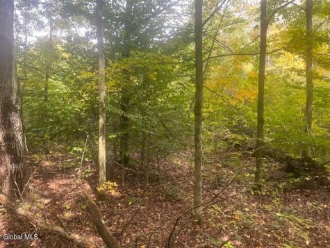 L24.2 Goewey Road Fultonville NY 12072