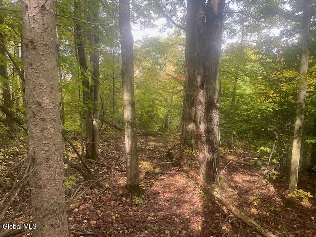 L24.2 Goewey Road Fultonville NY 12072