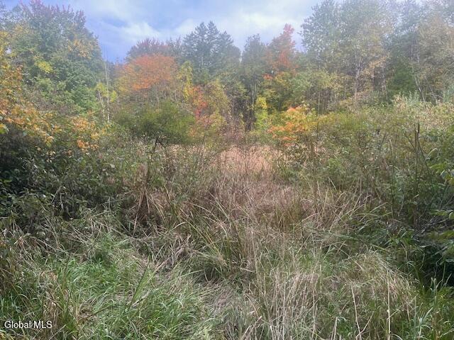 L24.2 Goewey Road Fultonville NY 12072