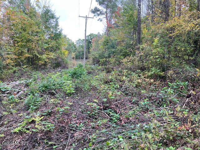 L24.2 Goewey Road Fultonville NY 12072