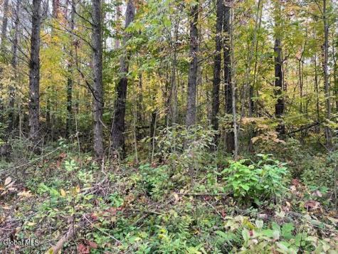 L24.2 Goewey Road Fultonville NY 12072