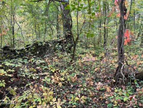 L24.2 Goewey Road Fultonville NY 12072