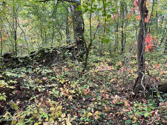 L24.2 Goewey Road Fultonville NY 12072