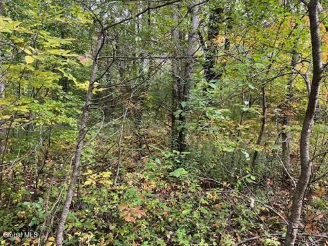 L24.2 Goewey Road Fultonville NY 12072