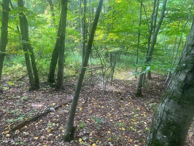 L24.2 Goewey Road Fultonville NY 12072