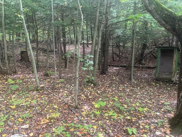 L24.2 Goewey Road Fultonville NY 12072