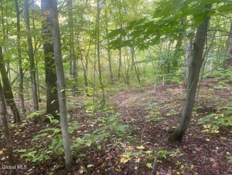 L24.2 Goewey Road Fultonville NY 12072