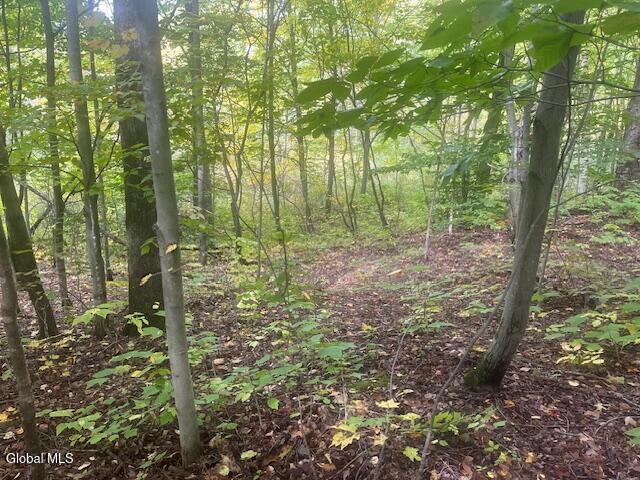 L24.2 Goewey Road Fultonville NY 12072