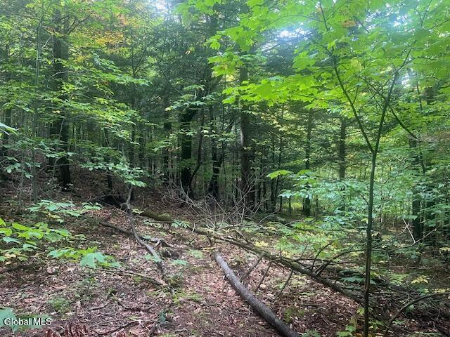 L24.2 Goewey Road Fultonville NY 12072