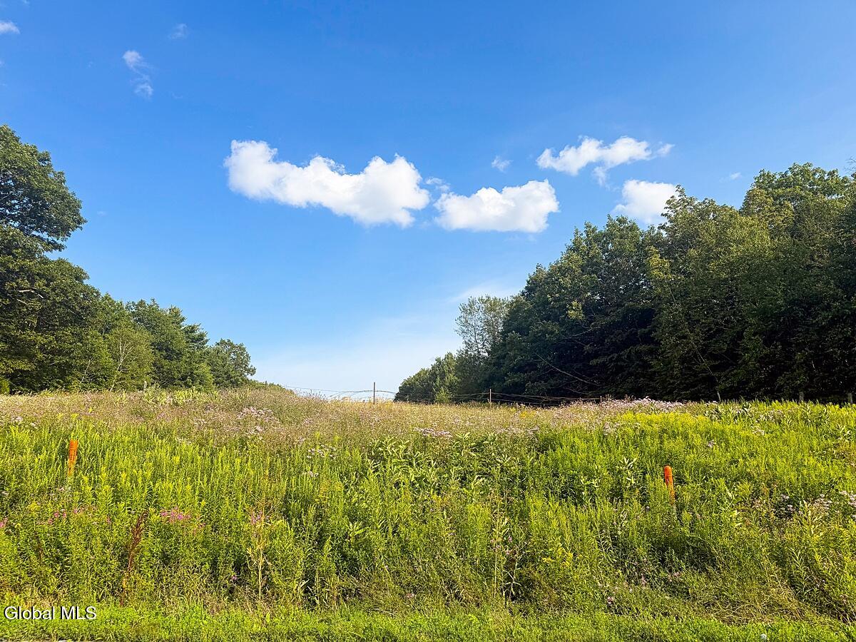 L7.600 Long Road East Berne NY 12059