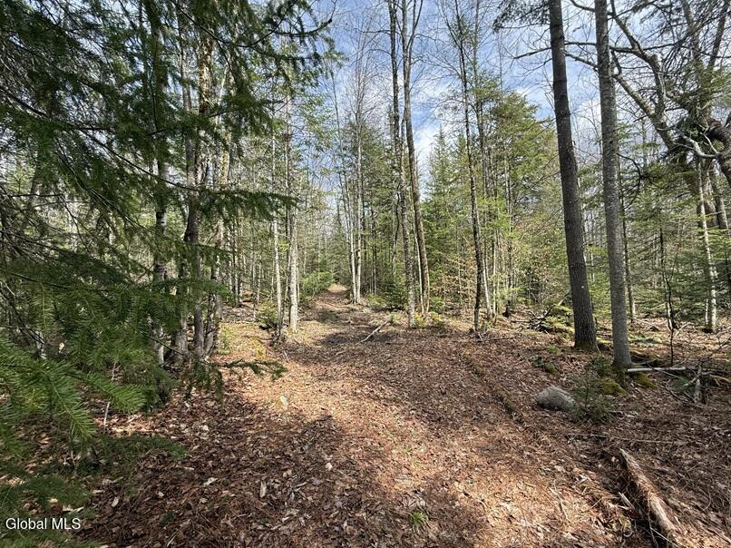 L34.4 Potash Hill Road Schroon Lake NY 12870